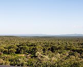 The wilderness of the wilderness surrounds the camp.