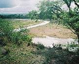 A stunning viewpoint in the Kruger National Park.