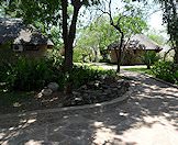 The driveway leading to the Binga hunting camp.