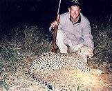 Leopards are hunted with bait.