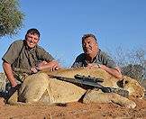 A lioness hunted in the Kalahari.