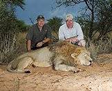 A male lion trophy.