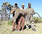 Trust your trackers when hunting leopard.