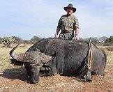 A hunter stands proudly alongside his buffalo trophy.