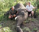 Hunt the majestic African elephant with ASH Adventures.