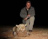 A leopard hunted at night.