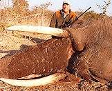 An elephant hunt in South Africa.