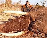 An elephant hunt in South Africa.
