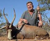 A blesbok hunted in South Africa.