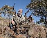 Kudus are popular for hunting due to their impressive size and horns.