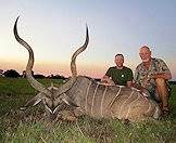 The kudu's spiraling horns are the ultimate plains game trophy.