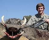 Warthogs offer good-sized trophies.