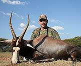 Bontebok are hunted in the highveld.