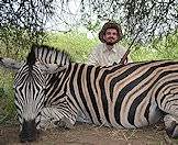 A zebra hunted during a hunting safari.