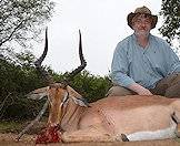 An impala ram trophy.