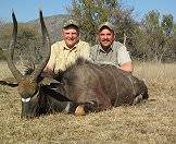 A nyala hunted with ASH Adventures.