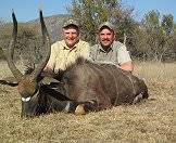 A nyala hunted with AS Hunting Adventures.