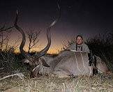 A late afternoon kudu hunt.