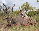 The greater kudu makes a fine trophy.