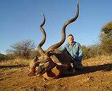 A kudu trophy positioned for a photograph.