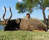 Hunt the beautiful nyala with ASH Adventures.