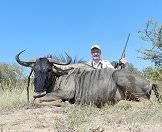 A blue wildebeest trophy is presented for a photograph.