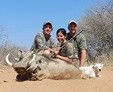 A warthog hunt in South Africa.