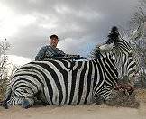 A zebra hunt in South Africa.