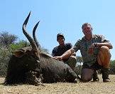 Nyalas make handsome trophies.
