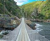 The Storms River Gorge in Tsitsikamma National Park.