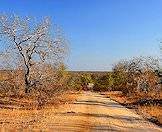 One of the secondary roads in the Kruger National Park.