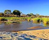 One of the rivers in the Kruger National Park.