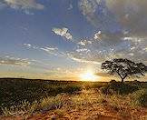 The sun sets over the lowveld in South Africa.