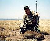 Black springbok are hunted like the common springbok.