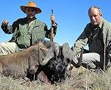 Trust the judgement of your professional hunter when it comes to black wildebeest.