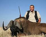 A black wildebeest trophy.