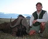 Black wildebeest are one of the more unique species that can be hunted in South Africa.