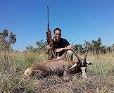 A blesbok hunted in South Africa.