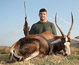 Blesbok occur in many hunting concessions across the country.