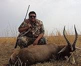 The blesbok has a rather distinct coloration.