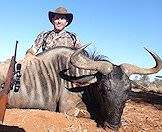 ASH Adventures offer blue wildebeest hunting safaris.