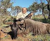 A blue wildebeest hunt with ASH Adventures.
