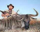 A blue wildebeest hunt.