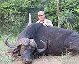 Many consider the buffalo to be the most dangerous member of the Big Five.