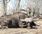 A hunter displays his buffalo trophy for a photograph.