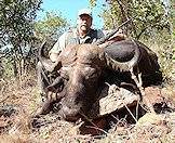 Buffalo can be hunted in South Africa's Lowveld region.