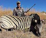 It is difficult to tell zebra genders apart - trust your professional hunter.