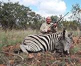 Zebra hunting is often a very exciting endeavor.
