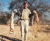 Caracals are often hunted with dogs.