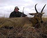 A common reedbuck trophy presented for a photograph.